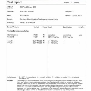 SIS Labs Test Depot 300 lab report (July 24, 2017)