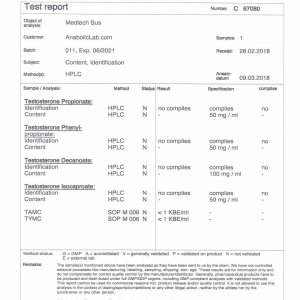 Med-Tech Solutions SUS lab report (March 27, 2018)