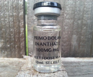 Primo and test results