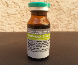 Testosterone equipoise results
