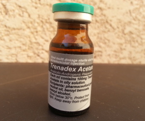Trenbolone acetate every day