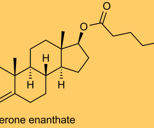 Testosterone Enanthate Raw Data GC-MS/MS [PDF]