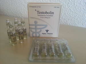 Alpha Pharma Testobolin testosterone enanthate (box and ampules)