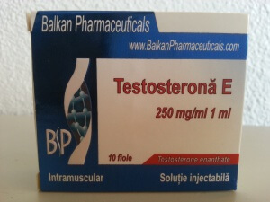 Balkan Pharmaceuticals Testosterona E (testosterone enanthate) box