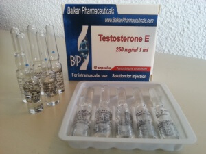 Balkan Pharmaceuticals Testosterona E (testosterone enanthate) box and ampules