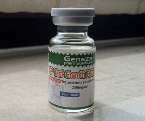 Geneza Pharmaceuticals GP Test Enanth 250 (testosterone enanthate) - vial