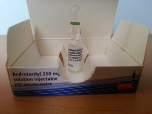 Bayer Healthcare Androtardyl (testosterone enanthate)