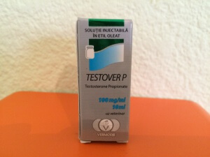 Vermodje Testover P (testosterone propionate)