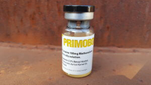 Dragon Pharma Primobolan 100 (methenolone enanthate)