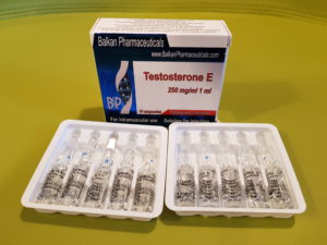 Balkan Pharma Testosterone E